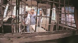 A special enclosure inside the police vehicle being used for producing gangster Sampat Nehra in Panchkula court. (Express photo/Jaipal Singh)