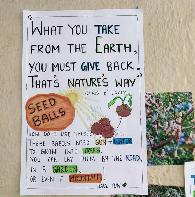 unique wedding eco friendly wedding, environment friend wedding themes, go green wedding ideas, eco friendly wedding themes, indian express, good news