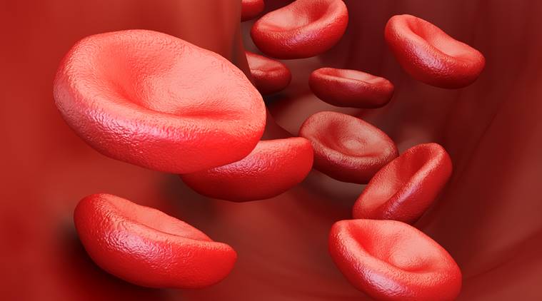 World Sickle cell day, what is sickle cell disease, sickle cell disorder symptoms, sickle cell disorder treatment, sickle cell disorder, what happens in sickle cell disease, sickle cell cure, indian express, indian express news