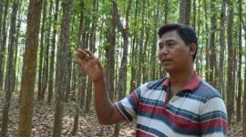 Sukracharjya Rabha, Badungduppa, Under The Sal Tree, Goalpara, Assam