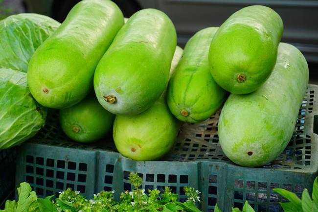 summer vegetables, healthy vegetables, turai benefits, karela benefits, kaddu benefits, padval benefits, vegetables to eat in summer, indian express, indian express news
