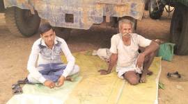 madhya pradesh farmers, indian express, indian farmers, indian express, madhya pradesh government, vidisha district, procurement policy, madhya pradesh mandis, mp crops