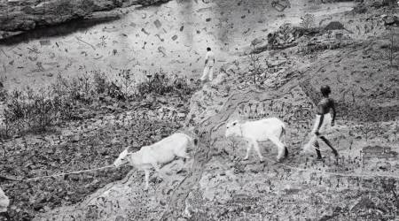 Gauri Gill, photographer Gauri Gill, Dahanu, Warli artist Rajesh Vangad, 2011 Grange Prize, Delhi College of Art, indian express