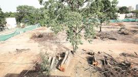 Naoroji nagar redeleopment project, resedential colony, deforestation, central govt residential colonies, indian express