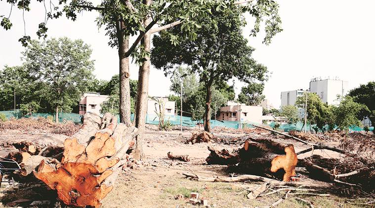 NBCC gets green nod to redevelop Sarojini Nagar colony