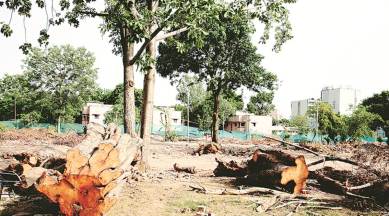 NBCC gets green nod to redevelop Sarojini Nagar colony