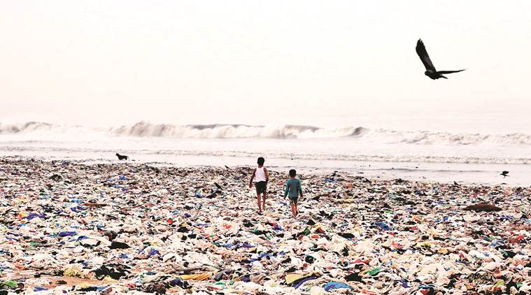 Volunteers collect 30 tonnes of garbage in eight hours at Mumbai's Versova beach