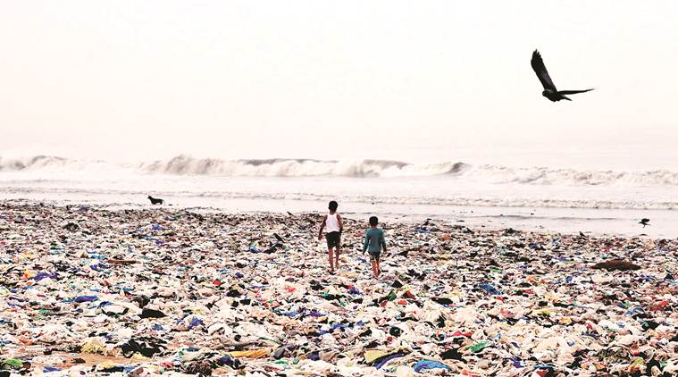 Volunteers At Mumbais Versova Beach Collect 30 Tonnes Of Garbage In Eight Hours Mumbai News 