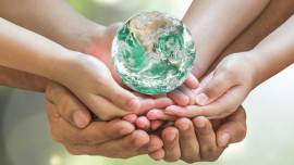 organic products, vegan skincare,