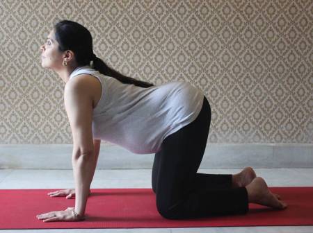 Butterfly pose, Prenatal Yoga, pregnancy, Yoga poses, Dandasana, Bound Angle Pose, COW pose