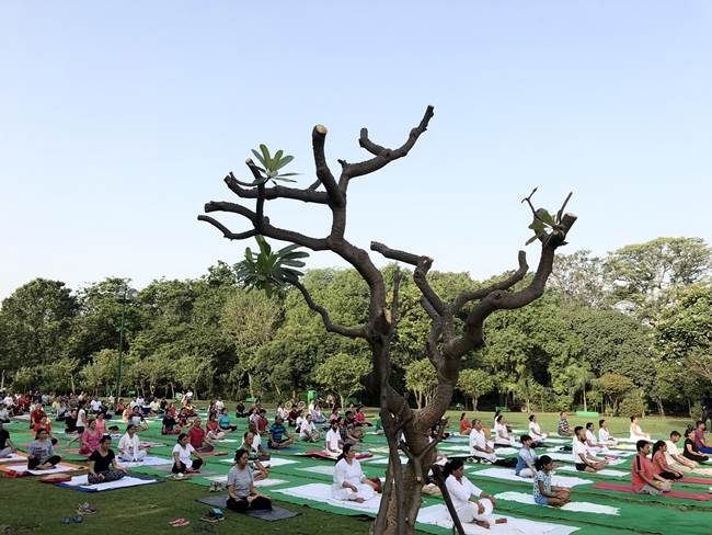 Yoga day, international yoga day, international yoga day june 21, june 21, when is june 21, international yoga day celebration, what is yoga day, when is yoga day, why is yoga day celebrated, indian express
