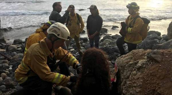 Woman survives seven days drinking water from car radiator after California crash