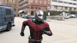 ant-man and the wasp india box office