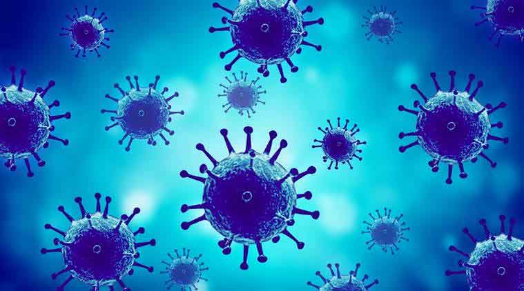 Bacteria, Bacteriology, Microorganism, Biology, British Columbia, University of British Columbia, lead author, Stilianos Louca, DNA sequencing, Canada