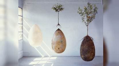 Imagine you could become a tree after you die: Here&rsquo;s an eco 
