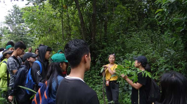 Chizami Farming School Nagaland North East Network