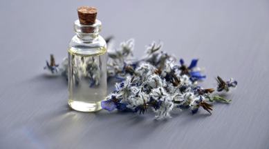 beauty regime, skincare, personal care, essential oils, coconut oil, olive oil, moringa oil, moisturising, antioxidants, Indian Express, Indian Express News