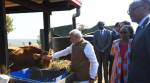 PM Modi gifts 200 cows to Rwandan village under African nation's economic development project