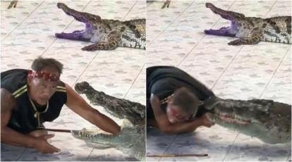 Farmer survives crocodile attack by biting reptile's eyelid