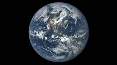 Earth, Global Warming, Earth global warming, animals, extinction, animals global warming, caused global warming