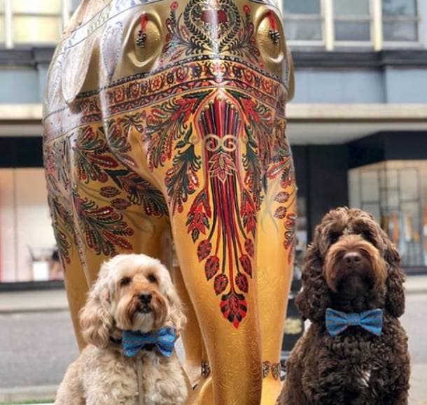 Elephant day parade, Elephant day parade london, indian elephants, Gaurav Gupta elephant, Good Earth elephant, J J Valaya, indian express, indian express news