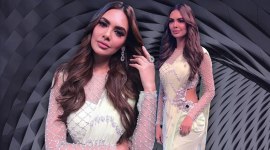 esha gupta, esha gupta gown sari, esha gupta monisha jaising, esha gupta instagram, indian express, indian express news
