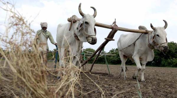 Farmers plant less in spite of MSP hikes and normal monsoon 