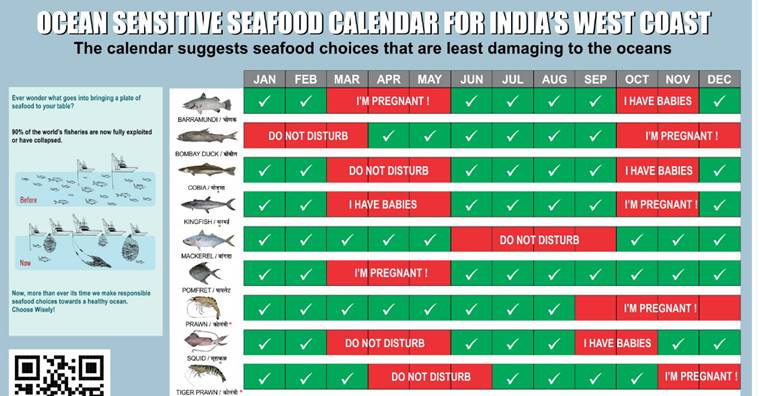 Know Your Food: When To Eat Your Favourite Fish – A Seasonal Guide 