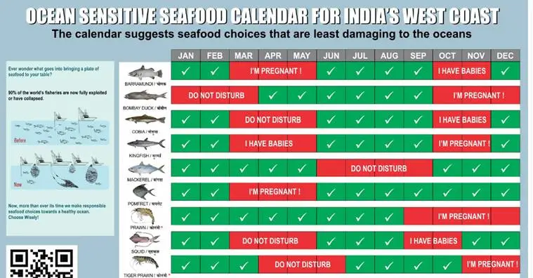 know-your-food-when-to-eat-your-favourite-fish-a-seasonal-guide