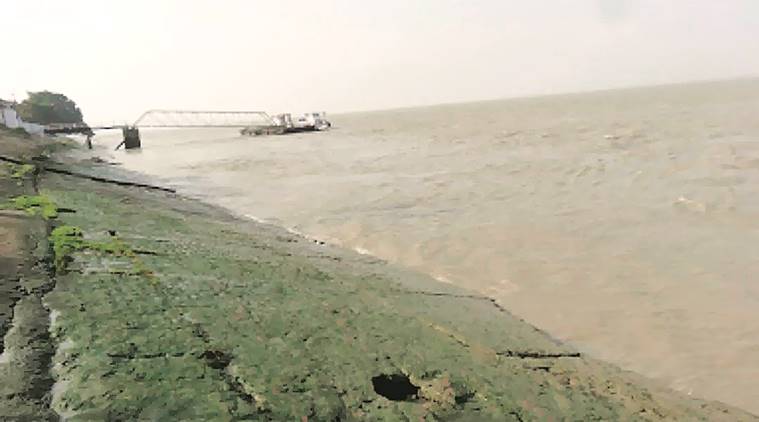 Indian marine biologist, marine biology, edible seaweed, green laver, marine discover, pune news, indian express, latest news