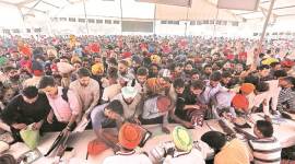 Punjab: Lack of English-speaking skills pose hurdle for hundreds of aspirants at International Job Fair