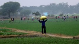 The land acquisition notifications were met with tough resistance and protests by farmers who challenged it in the court. (Representational)