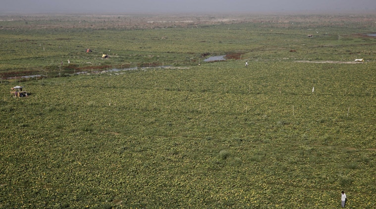 The statewide mapping exercise is estimated to cost Rs 76 crore, while the entire land measurement process would cost Rs 388 crore. (Representational)