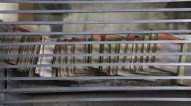 Fake science, part III: Behind locked doors, Mandsaur is home to research paper shops