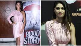 Lopamudra Raut Bollywood debut Blood Story
