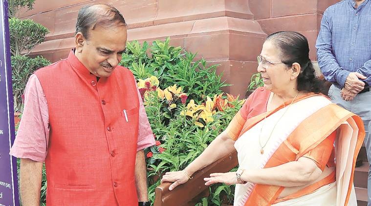 Lok Sabha Speaker Sumitra Mahajan irked on call for lynching debate — again