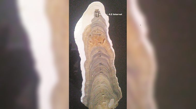 On July 13, the IUGS tweeted a picture of “the stalagmite from India with the GSSP for the base of the Meghalayan Stage”.
