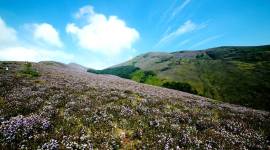 Kerala Monsoon Package, indianexpress.com, indianexpress, Kerala tourism app,