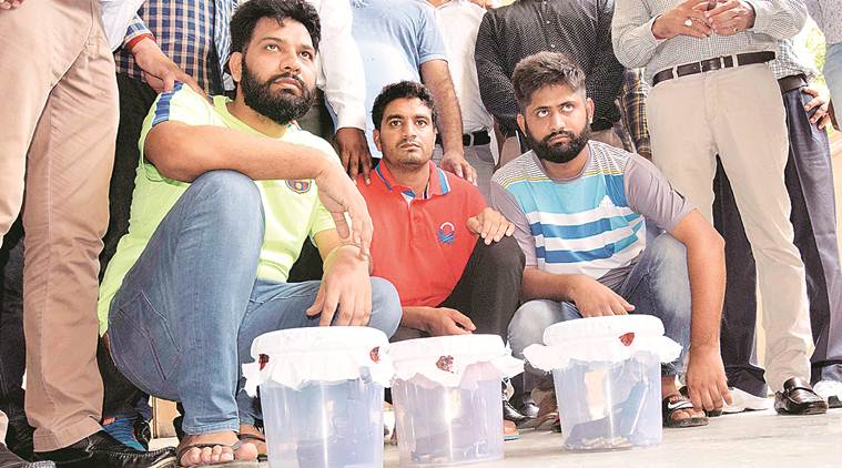 Panchkula: Three wanted criminals arrested, get five days' police remand