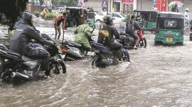 gujarat rains, saurashtra flooded, coastal saurashtra flooded, gujarat farmers, north saurashtra, gujarat crops, gujarat cotton, indian express