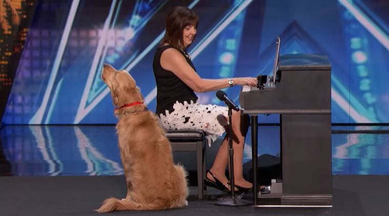 VIDEO: 'Singing dog' impresses reality show judge Simon Cowell, gets  standing ovation | Trending News,The Indian Express