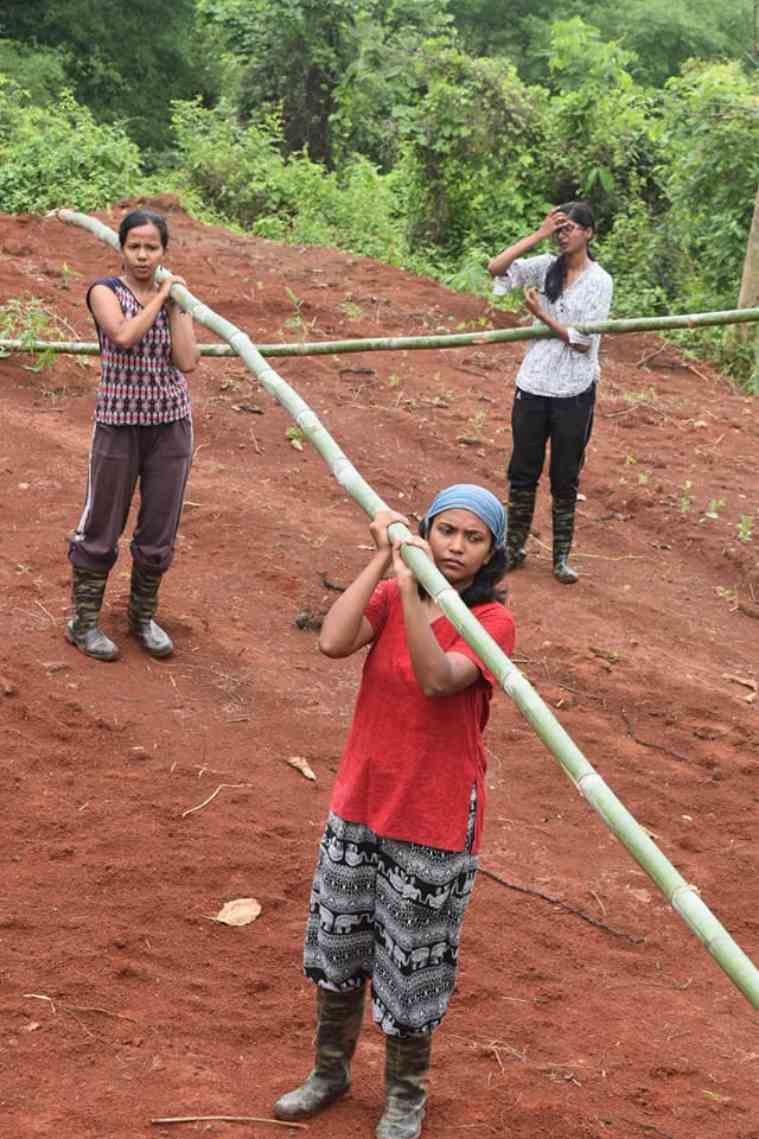 Spread NE, Assam, Organic farming