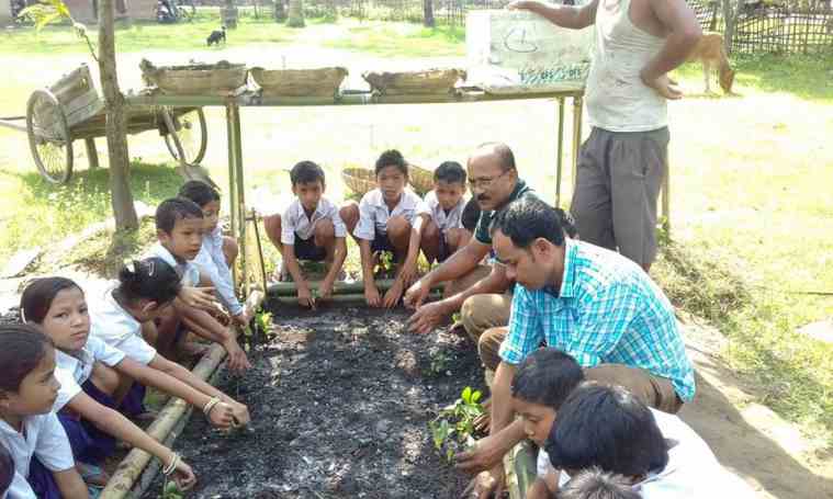 Spread NE, Assam, Organic farming