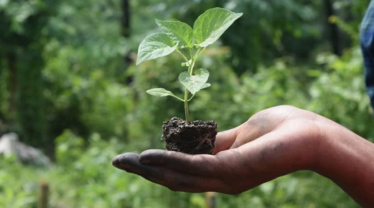 Spread NE, Assam, Organic farming