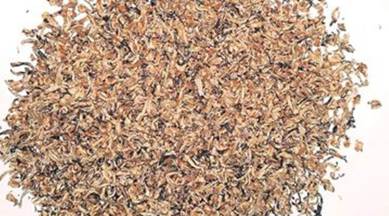 A special tea variety at Rs 39,000/kg: how growers sell, buyers choose