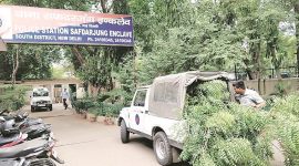 An activist had filed a complaint, alleging that contractors cut a tree in Netaji Nagar despite the HC stay order.