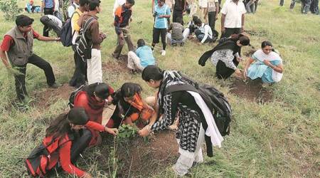 Facing decreasing revenues, Pune Municipal Corporation reluctant to extend property tax discount for plantation drives