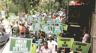 felling of trees, Delhi High court, Delhi HC on Felling of trees, delhi tree cutting, NGT, Delhi news, Indian express news