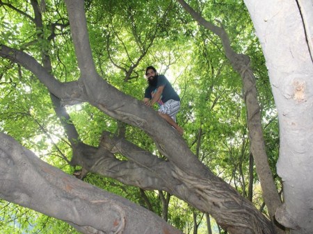 tree hugging, tree climbing, new delhi nature society, verhaen khanna