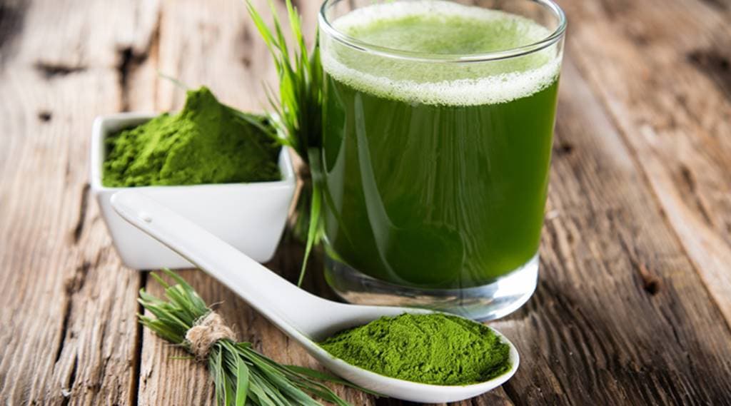 Wheat Grass And Menopause - Telugu Food And Diet News